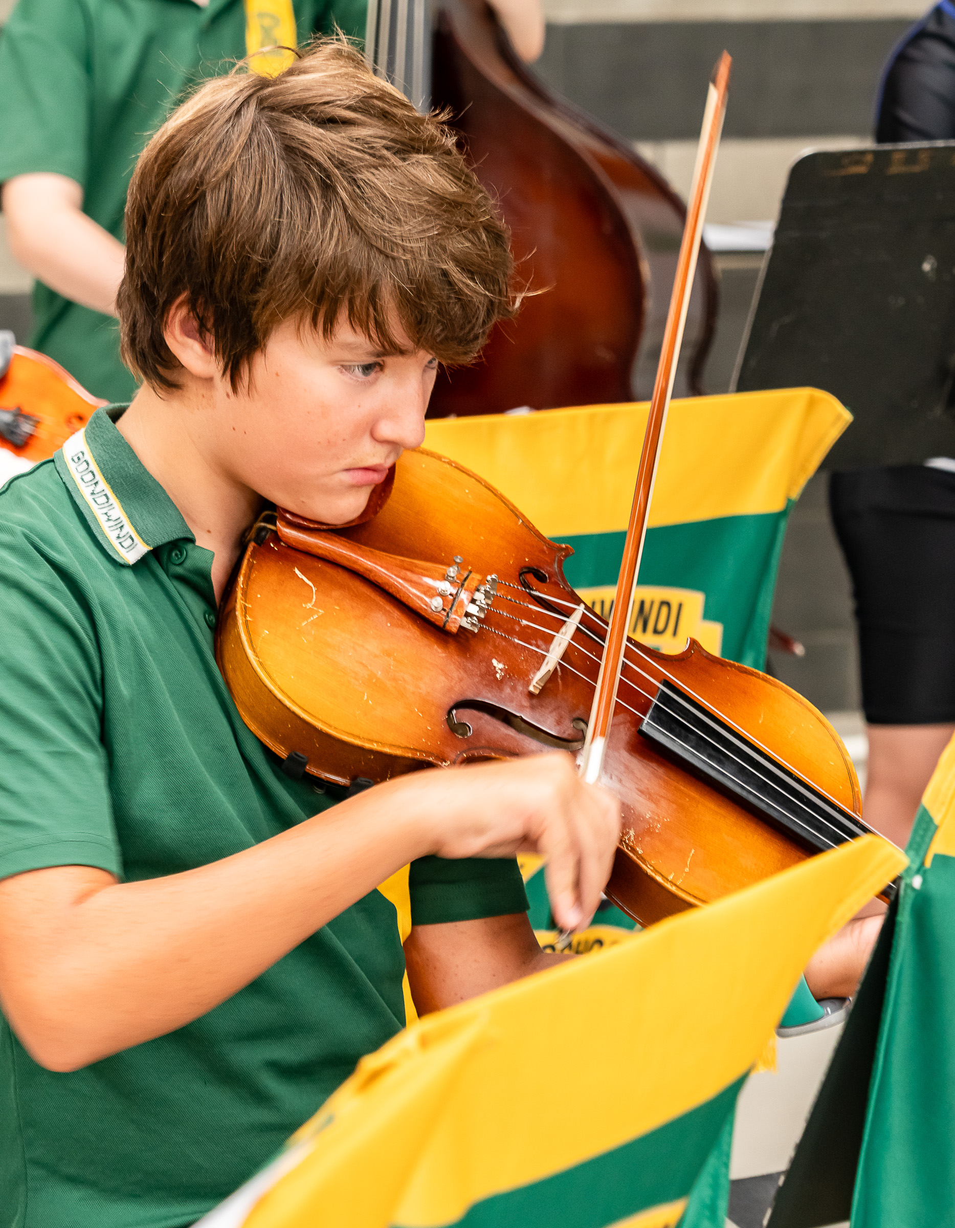 OrchestraDSC03249.jpg
